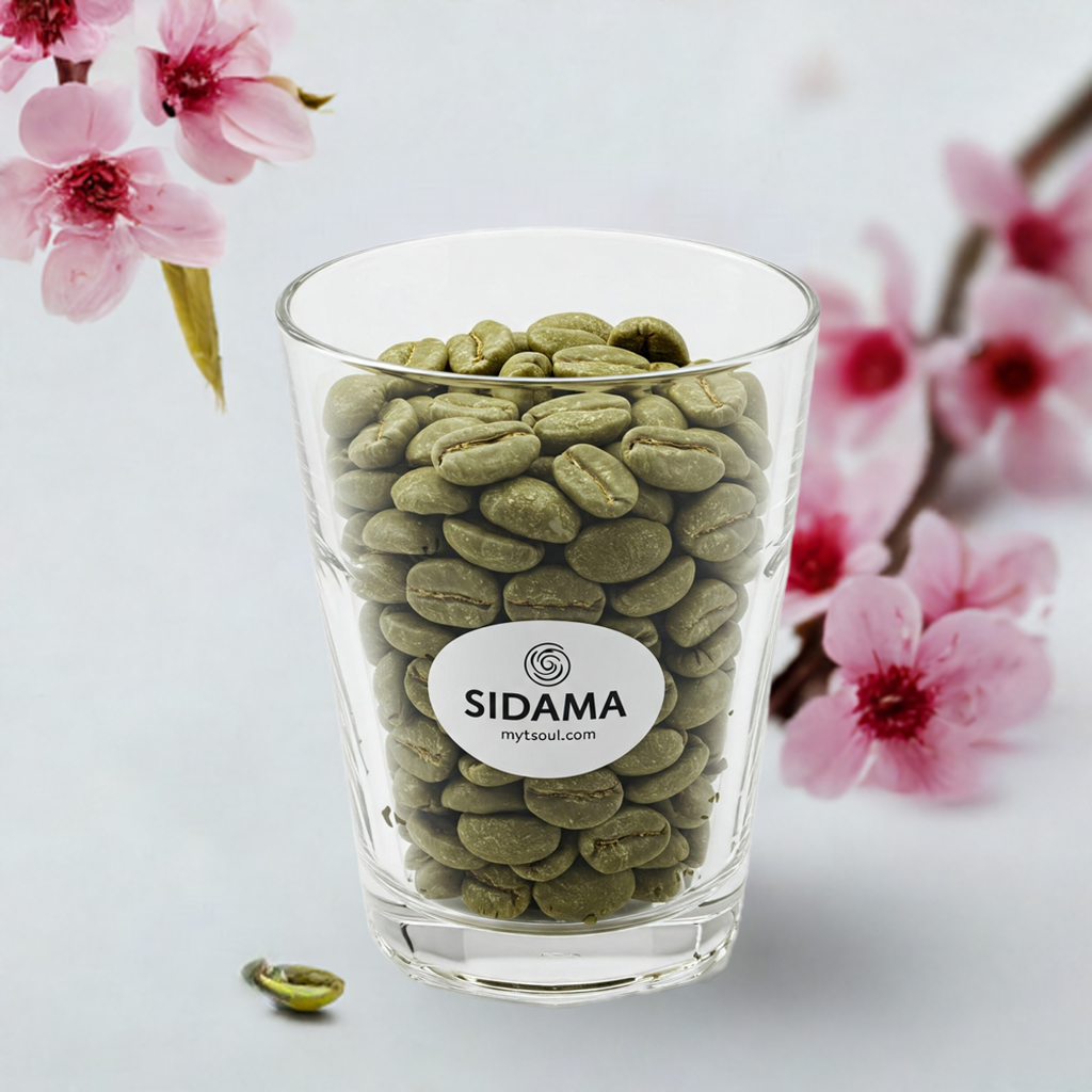 ሴዳማ አረንጓዴ  ቡና Arabica
